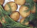 Potatis IMG 0084